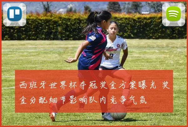 西班牙世界杯夺冠奖金方案曝光 奖金分配细节影响队内竞争气氛