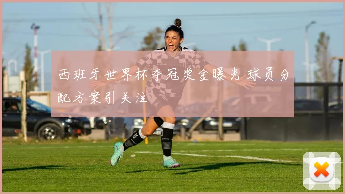 西班牙世界杯夺冠奖金曝光 球员分配方案引关注