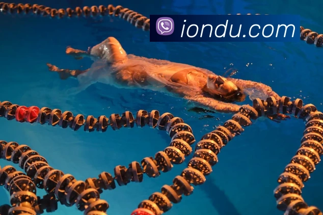 东瀛体育服务体系